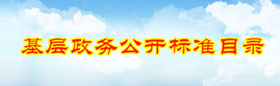 基層政務公開標準目錄